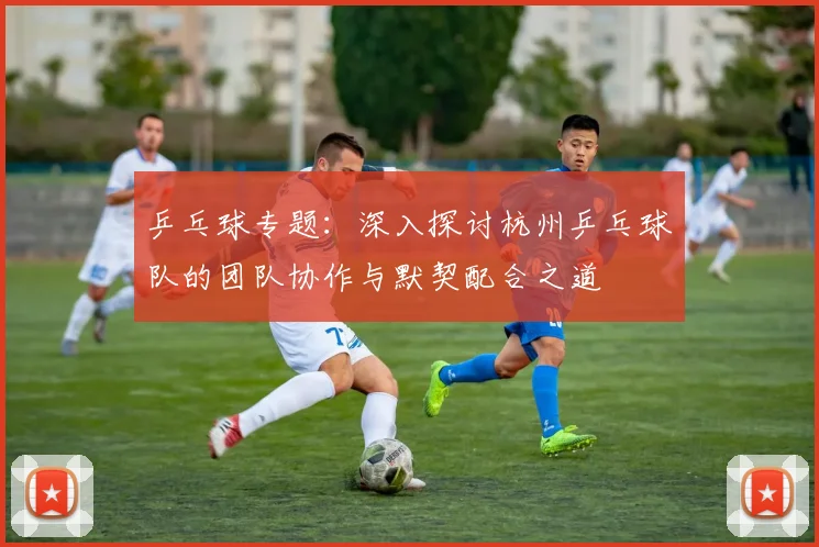 乒乓球专题：深入探讨杭州乒乓球队的团队协作与默契配合之道