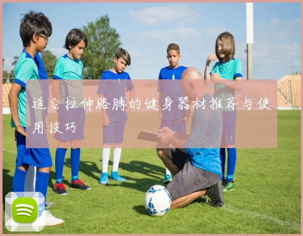 适合拉伸胳膊的健身器材推荐与使用技巧