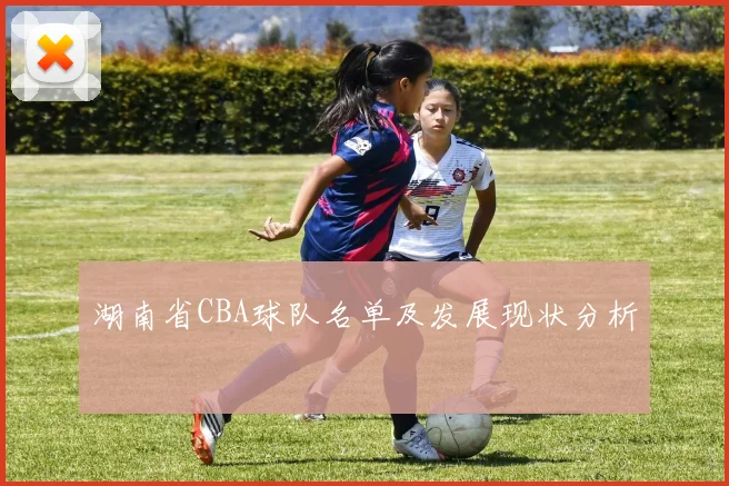 湖南省CBA球队名单及发展现状分析