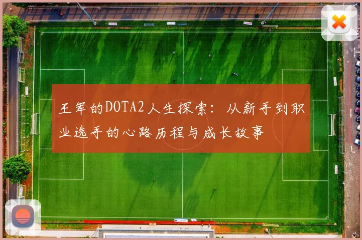 王军的DOTA2人生探索：从新手到职业选手的心路历程与成长故事